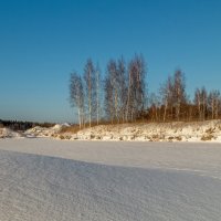 Морозное январское утро # 06 :: Андрей Дворников