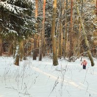 Я из лесу вышла, был сильный мороз. :: Татьяна Помогалова