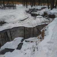 ЧБ сезон в разгаре :: Андрей Лукьянов