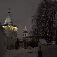Данилов монастырь :: Oleg4618 Шутченко