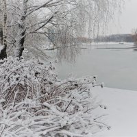 Зимушка-зима! :: Ирина Олехнович