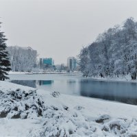 Зимняя прогулка :: Ирина Олехнович