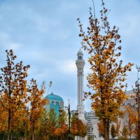 Парк у Мечети "Гордость мусульман" в г. Шали. Чечня. :: Дина Евсеева