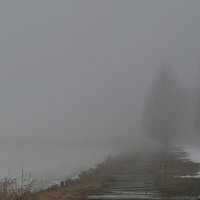 Туман над Оршой :: юра 