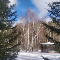 Снежный,солнечный день. :: Андрей Хлопонин