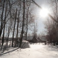 Под слепящим солнцем января.. :: Андрей Заломленков (настоящий) 
