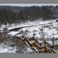 Радонеж :: Николай Андреев