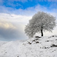 Под снежным одеялом :: Василий Колобзаров