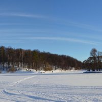 Верхний Царицынский пруд зимой :: Oleg4618 Шутченко