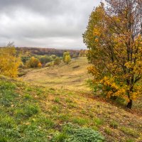 Октябрь в Царицыно... :: Владимир Жданов