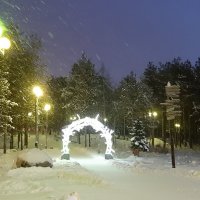 Снегопад :: Ольга 