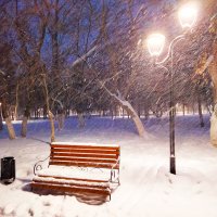 Снегопад в парке... :: Динара Каймиденова