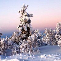 Лапландия в январе... :: ГЕНРИХ 