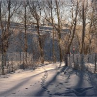 "Свет тень снег след"© :: Владимир Макаров