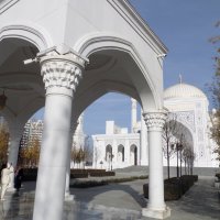 Мечеть "Гордость мусульман" :: MarinaKiseleva 