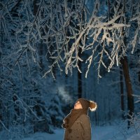 в зимнем лесу :: Юлия Поплевченкова