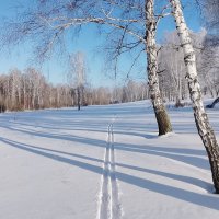 зимний пейзаж :: Николай Мальцев