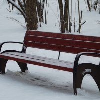 В парке старая скамейка впала в дрёму зимних дней, белоснежная шубейка согревает спину ей. :: Freddy 97