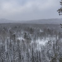 Снежным зимним днем на макушке горы Черничная.. :: Наталья Меркулова