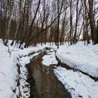 Не самая цветная часть зимы :: Андрей Лукьянов