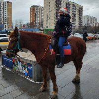 Когда-то вид транспорта, но не сегодня :: Андрей Лукьянов