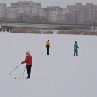 "Светофор" на лыжне :: Мария Васильева