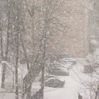 А снег идёт... :: Владимир Драгунский