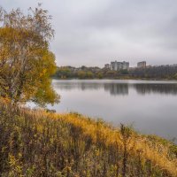 Осенний покой... :: Владимир Жданов