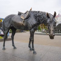 Скульптура "Лошадь и воробей" в Минске :: leo yagonen