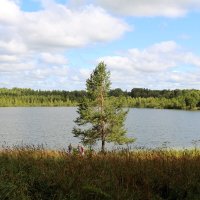 Озеро Светлояр :: Владимир 57