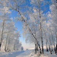 Хоть очень мало красок у зимы,но глаз не оторвать от этой красоты. :: nadyasilyuk Вознюк