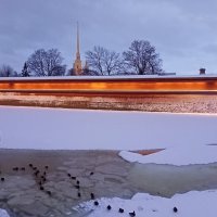 Вечерний Петербург . :: Татьяна 