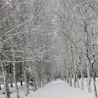 зима :: Наталья Штанулина