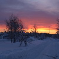 Зимнее зарево :: Ольга 