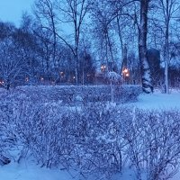 Снежный февраль . :: Татьяна 