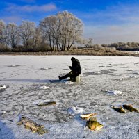 Сны о рыбалке на Заводи 2017 год :: Евгений 