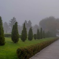 Когда в городе туман :: Владимир Жуков