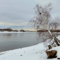 Склонились берёзки к реке :: Андрей Снегерёв