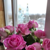 Розы на окне :: Ната Волга