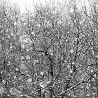 Снегопад :: Александр Сивкин