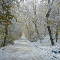 В аллеях осенних...... :: Юрий Цыплятников