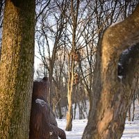 под присмотром :: Сеня Белгородский