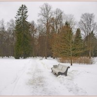 Парк в зимней спячке. :: Лия ☼