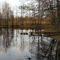 На пруду поздней осенью :: Андрей Снегерёв