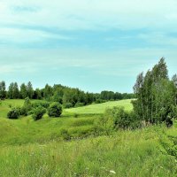 ИЮЛЬСКАЯ КРАСОТА ПРИРОДЫ :: Валентина 