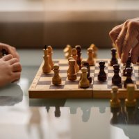 Шахматный бой :: Светлана Королева