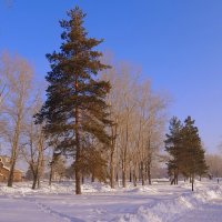 Скоро весна ! :: Мила Бовкун