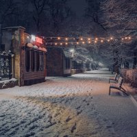 Зимняя ночь на алее с парковой оградой. :: Константин Бобинский