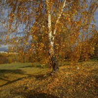 Нижний Тагил , Лисья горка :: Елена Шаламова