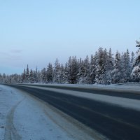 Зимними дорогами :: Ольга 